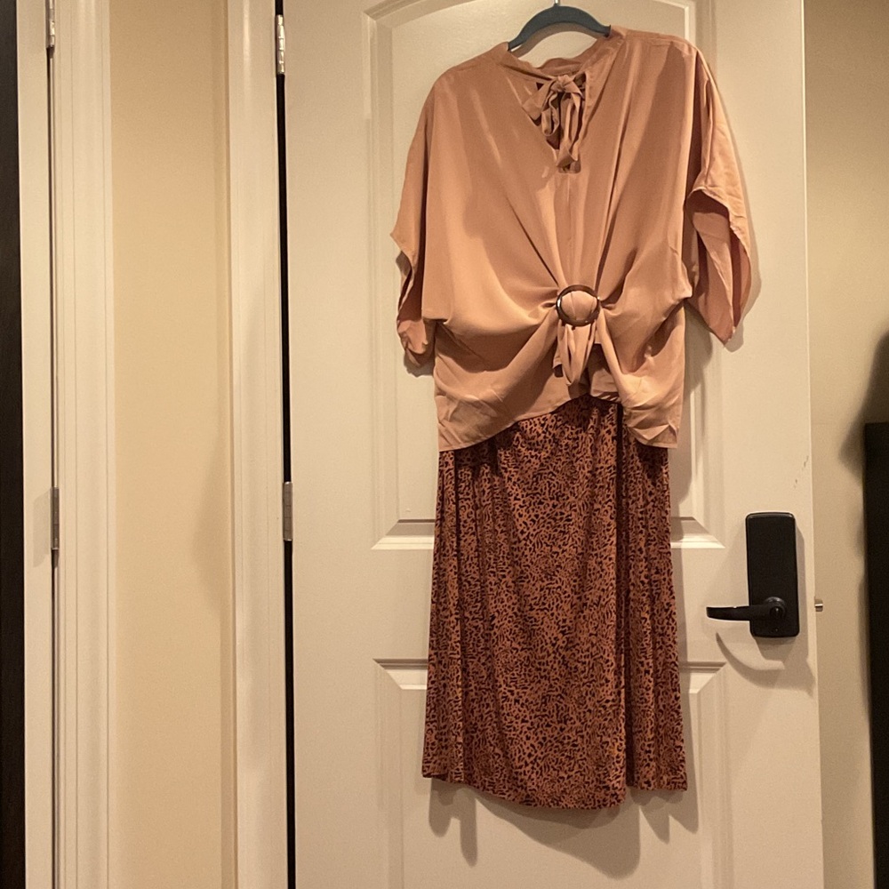 Chic Brown Pencil Skirt with a Tan beautiful blouse
